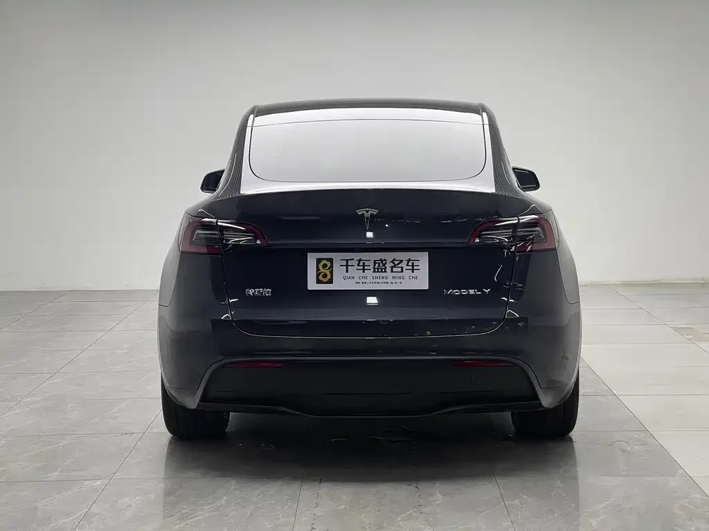 Tesla Model Y — фото 5