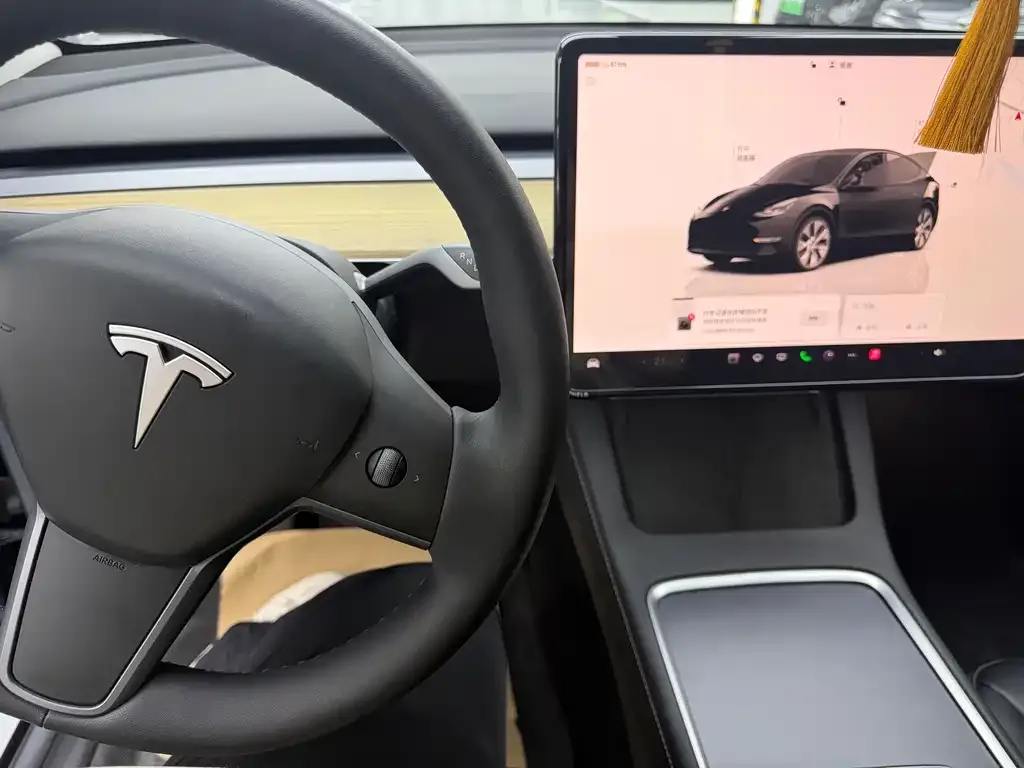 Tesla Model Y — фото 10