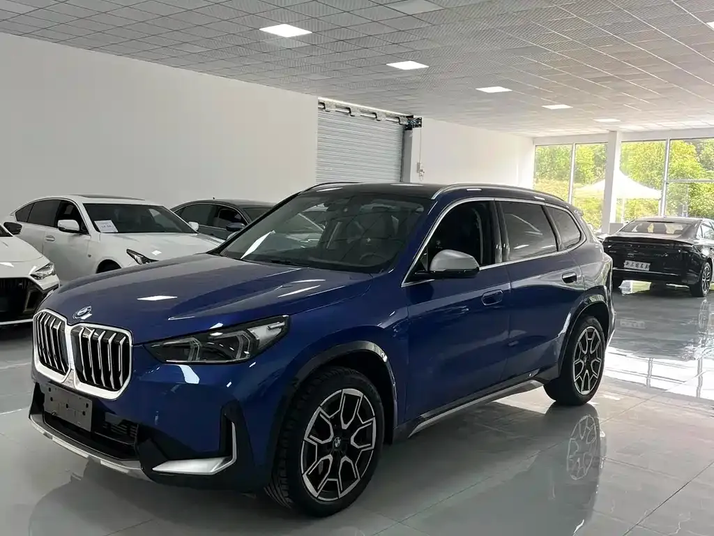 BMW X1 — фото 1