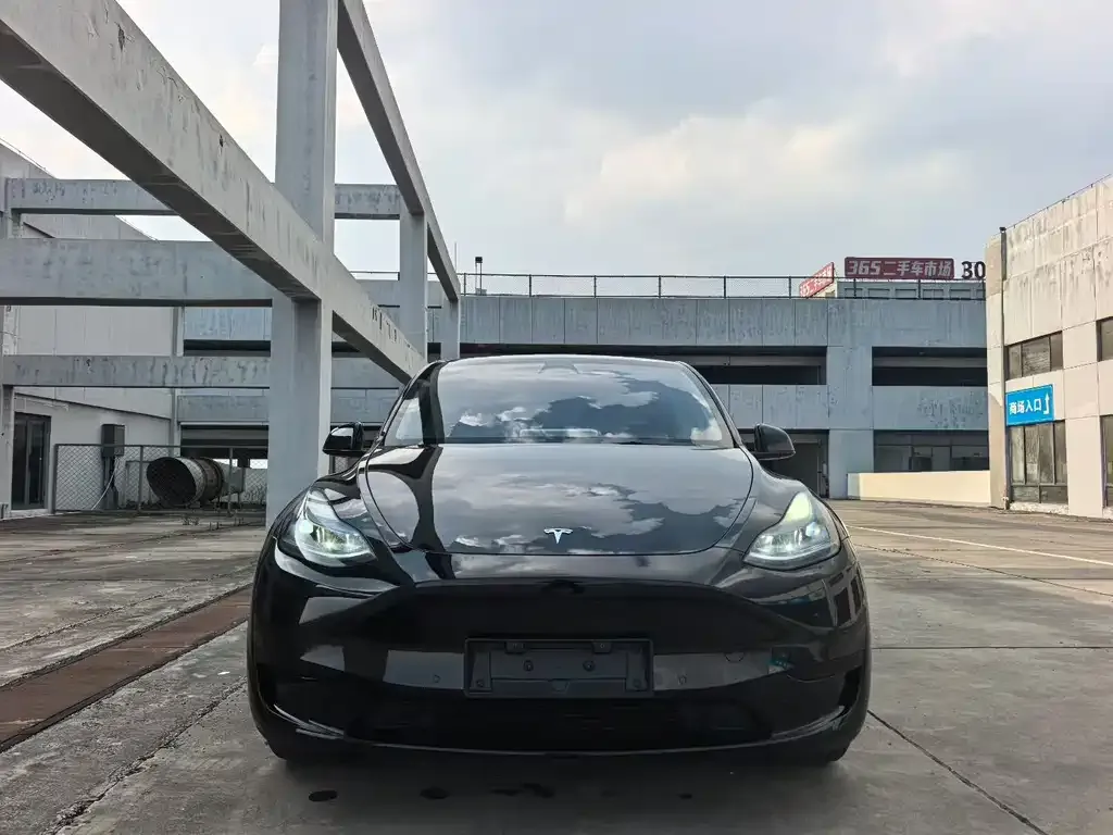 Tesla Model Y — фото 2