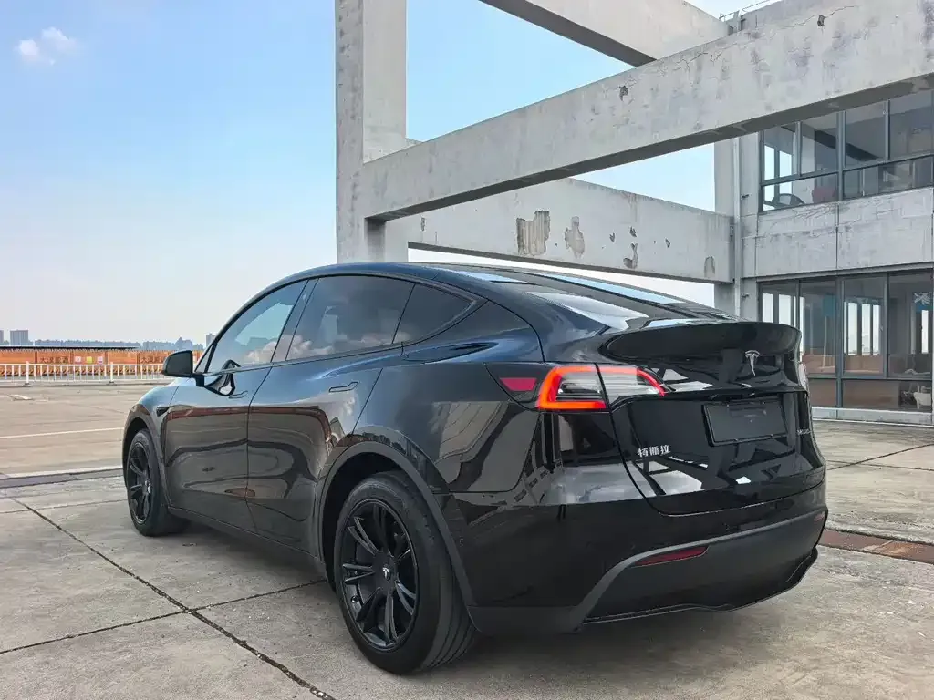 Tesla Model Y — фото 5