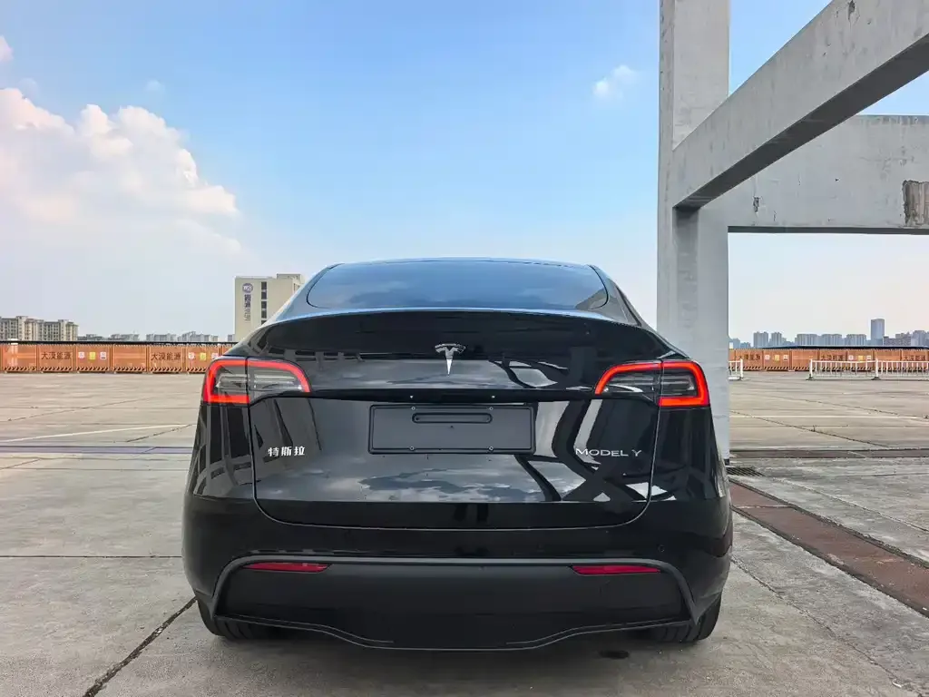 Tesla Model Y — фото 6