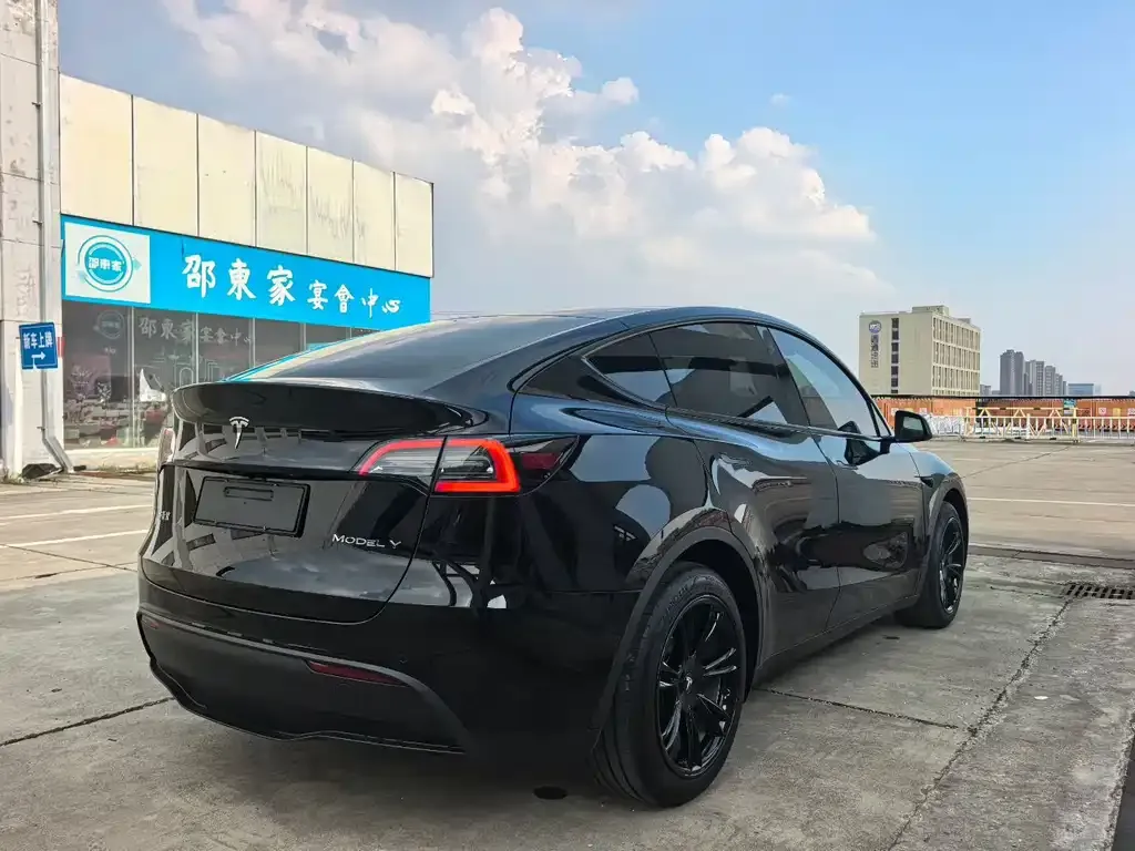 Tesla Model Y — фото 7