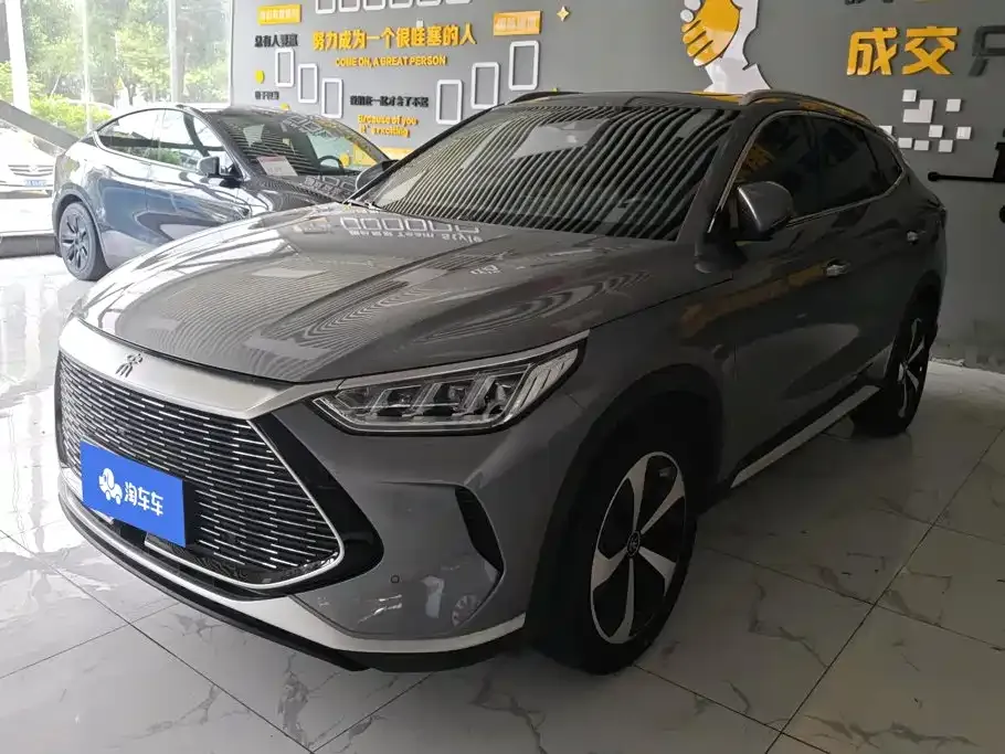 BYD PLUS New Energy — фото 1