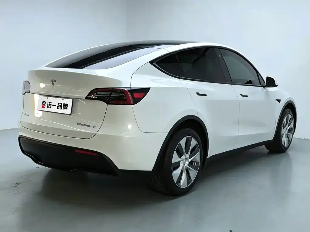 Tesla Model Y — фото 8