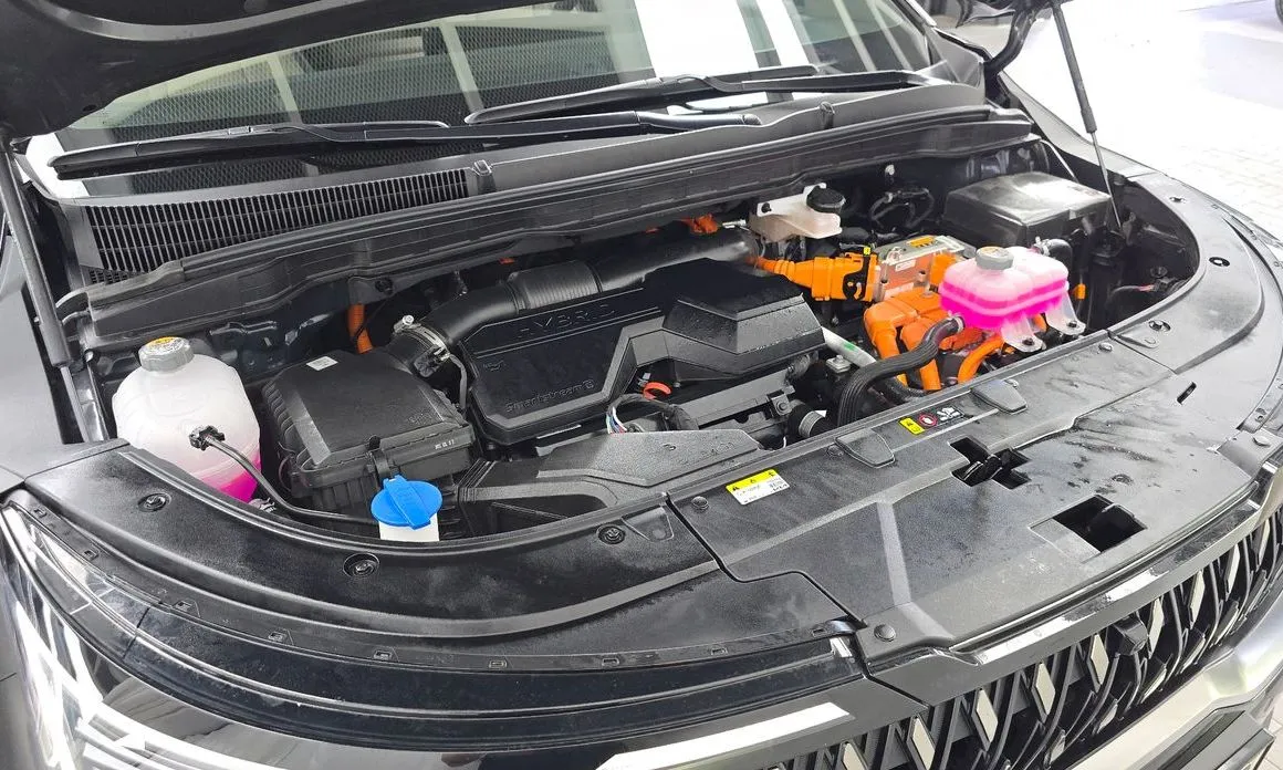 Kia Carnival — фото 10