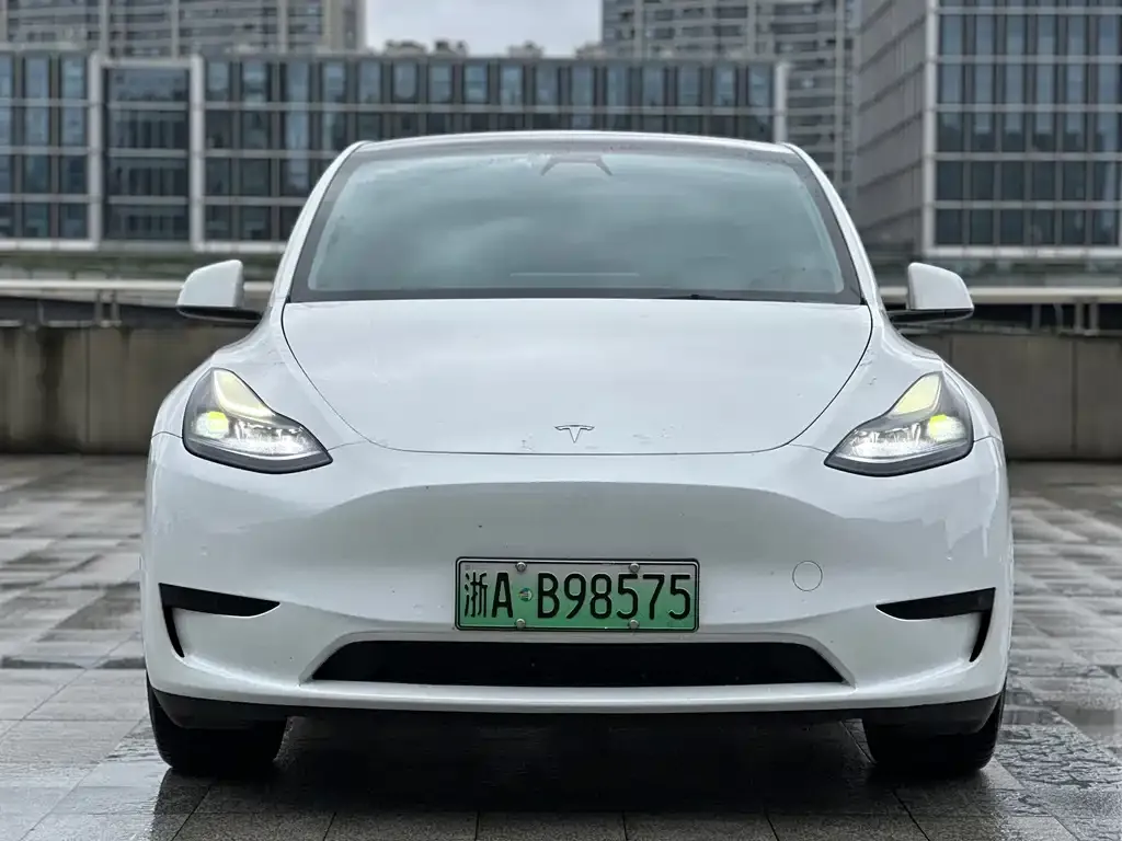 Tesla Model Y — фото 2