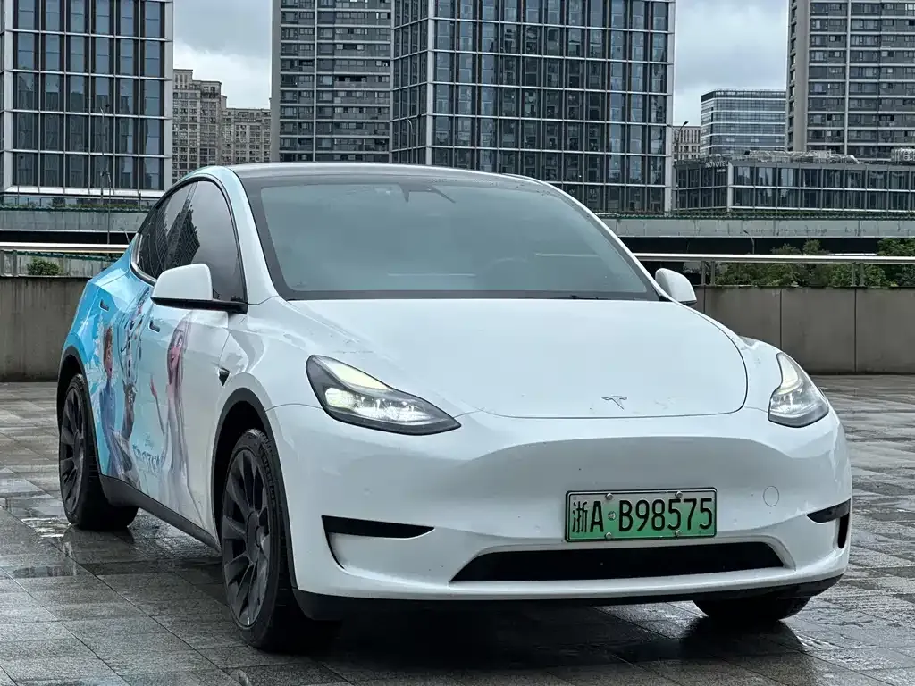 Tesla Model Y — фото 8