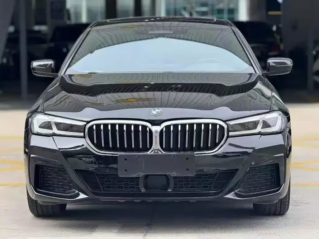 BMW 5 Series New Energy — фото 3