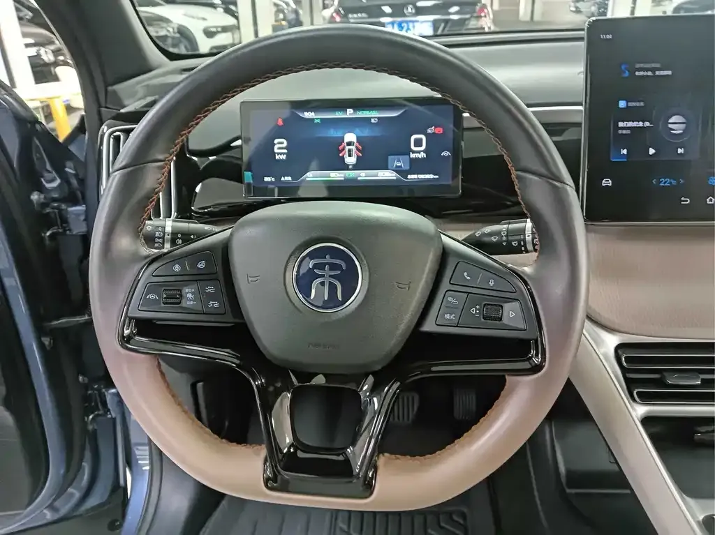 BYD Pro New Energy — фото 4