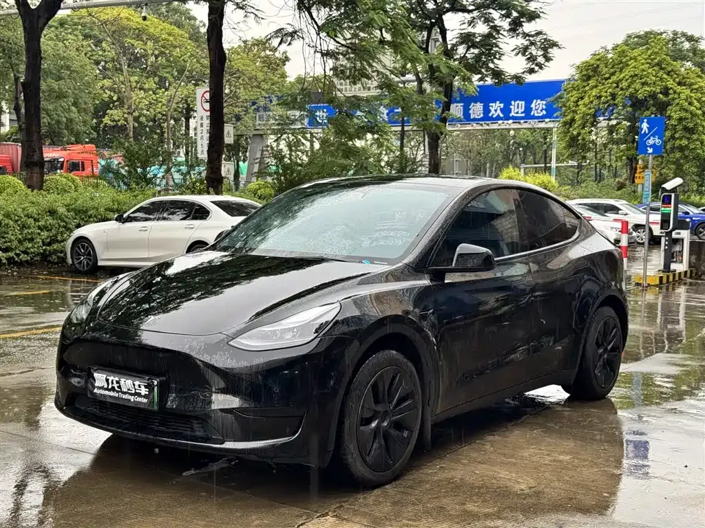 Tesla Model Y — фото 1