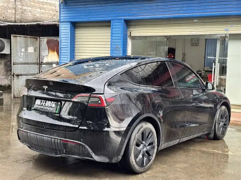 Tesla Model Y — фото 6