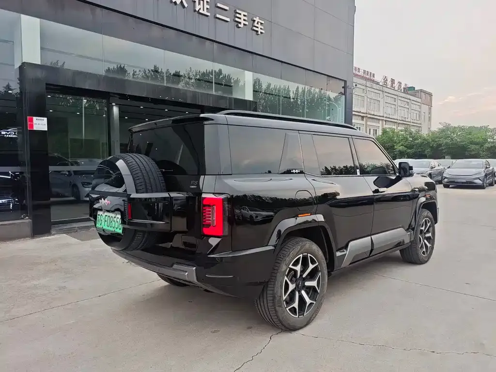Fang Cheng Bao Leopard 8 — фото 10