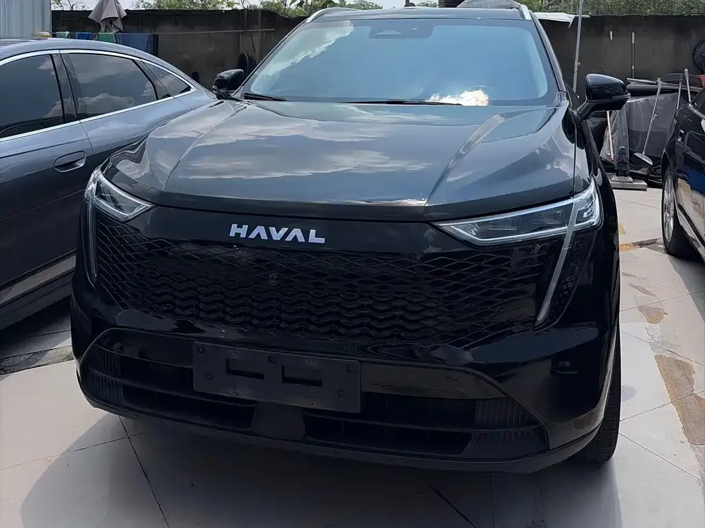 Haval Xiaolong MAX — фото 10