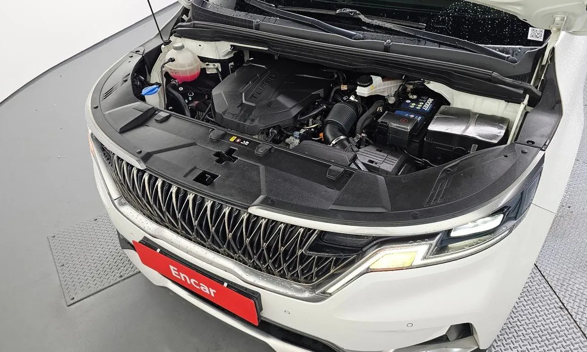 Kia Carnival — фото 10