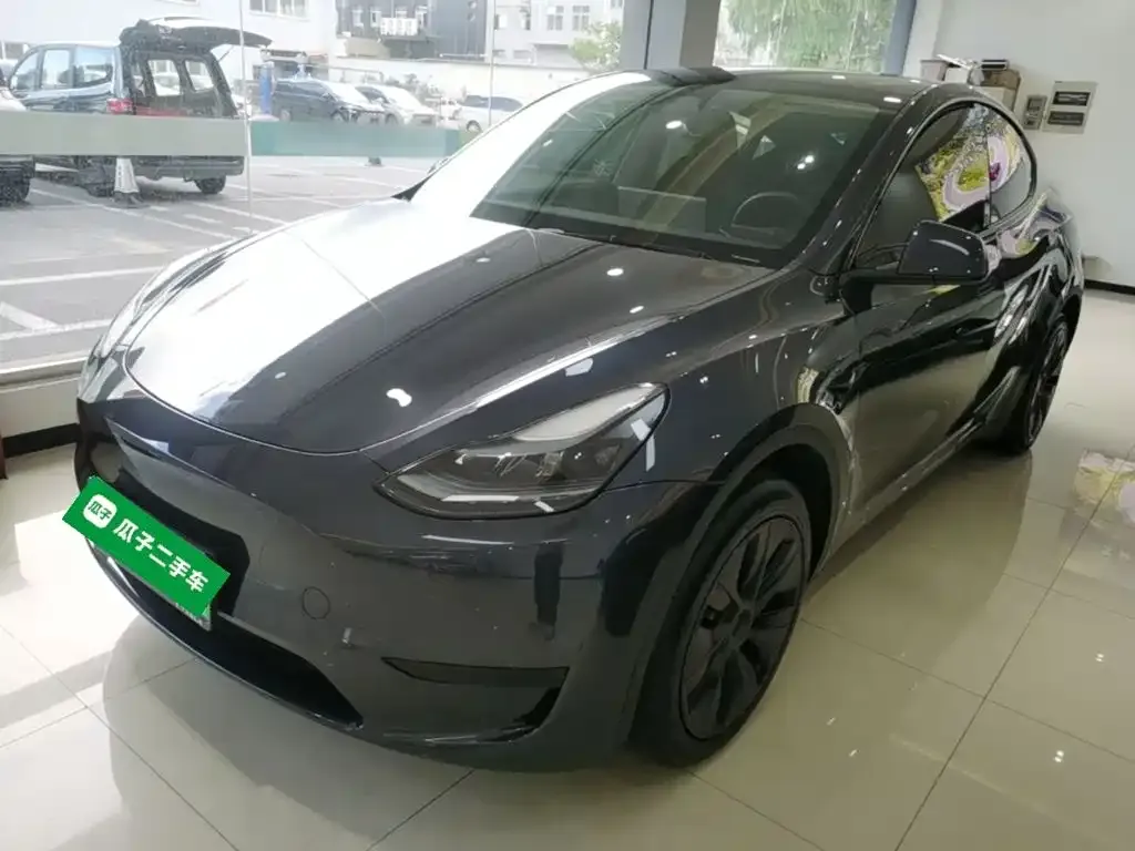Tesla Model Y — фото 6