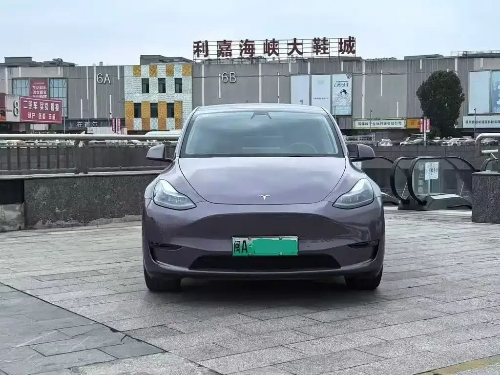 Tesla Model Y — фото 3