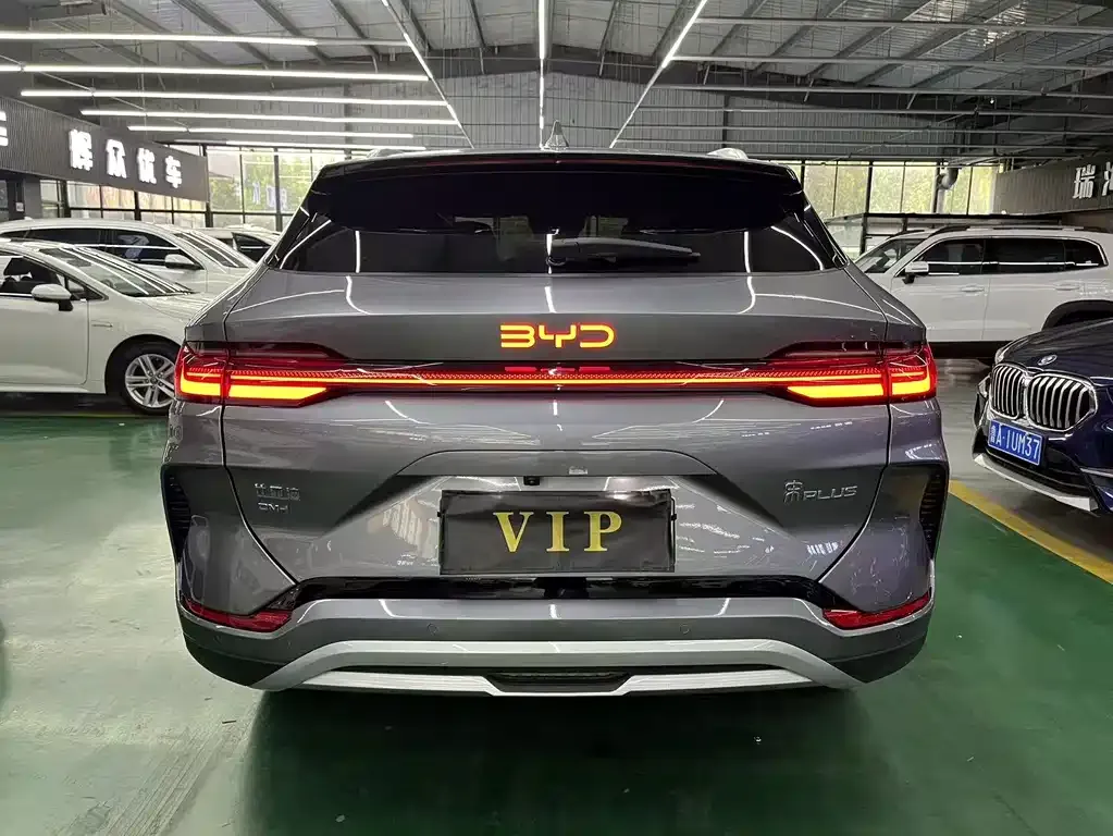 BYD PLUS New Energy — фото 9