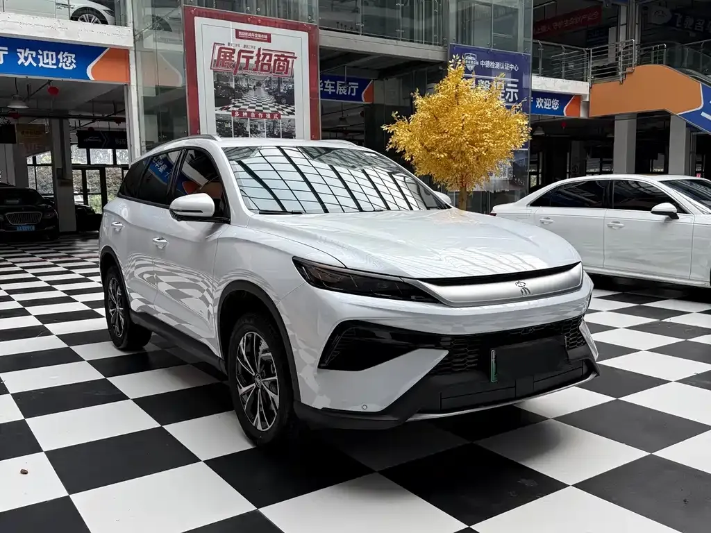 BYD Pro New Energy — фото 5