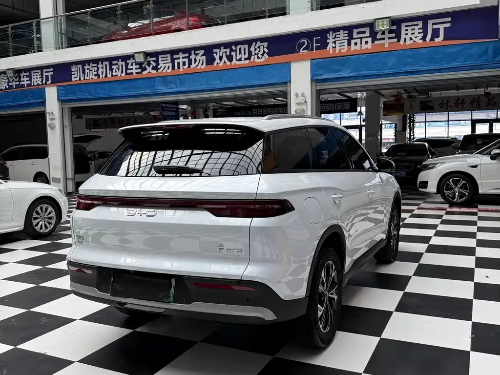 BYD Pro New Energy — фото 9