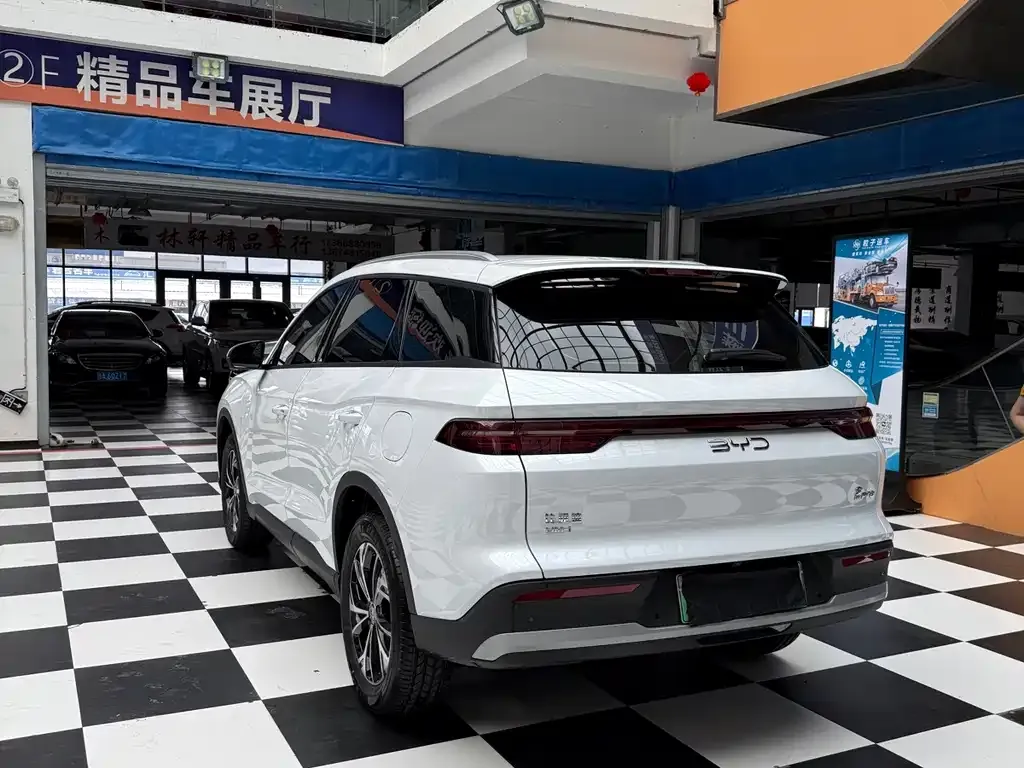 BYD Pro New Energy — фото 7