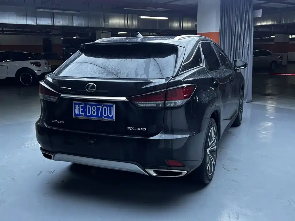 Lexus RX — фото 9