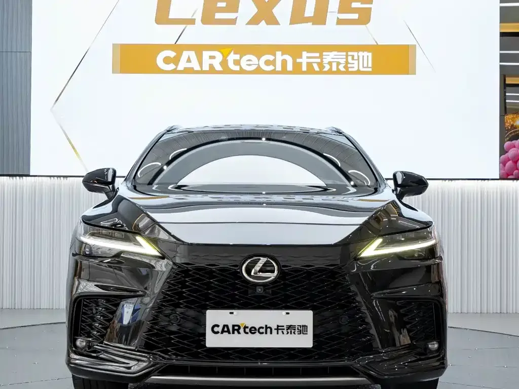 Lexus RX — фото 10