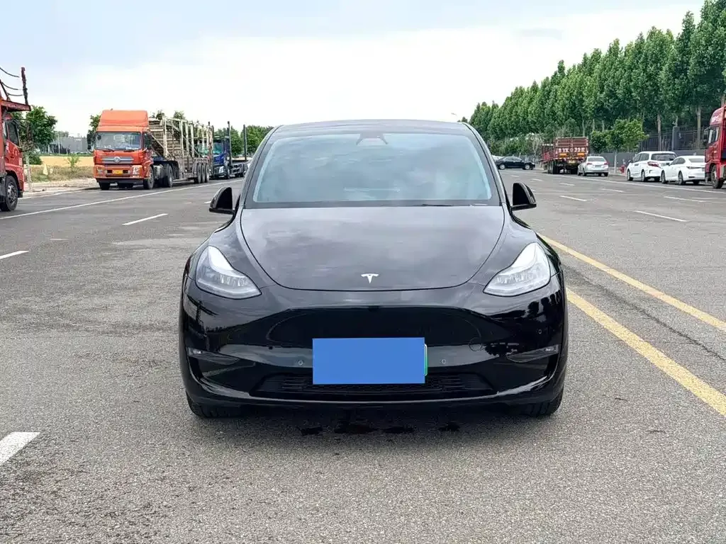 Tesla Model Y — фото 3