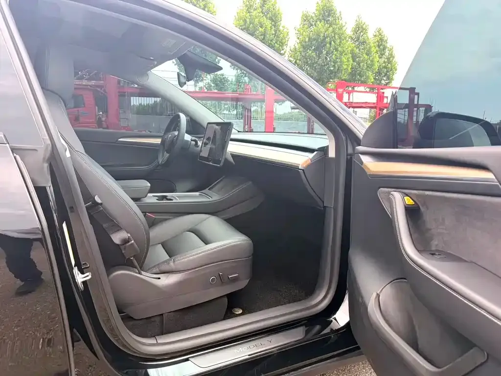 Tesla Model Y — фото 9