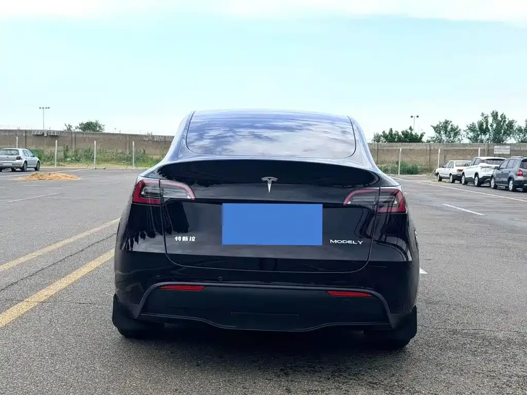 Tesla Model Y — фото 8