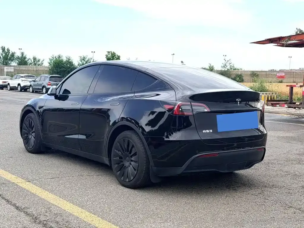 Tesla Model Y — фото 4
