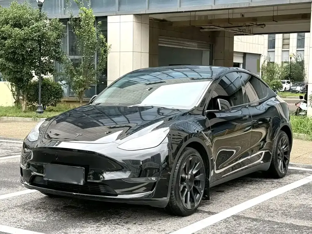 Tesla Model Y — фото 1