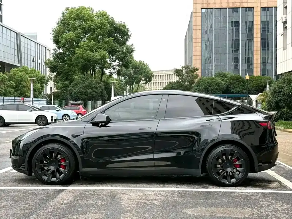 Tesla Model Y — фото 7