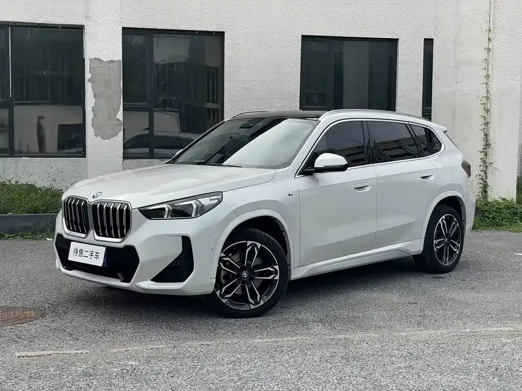 BMW X1 — фото 1
