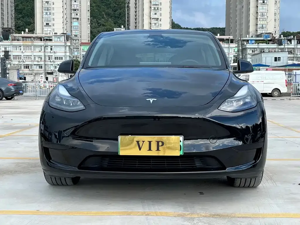 Tesla Model Y — фото 2