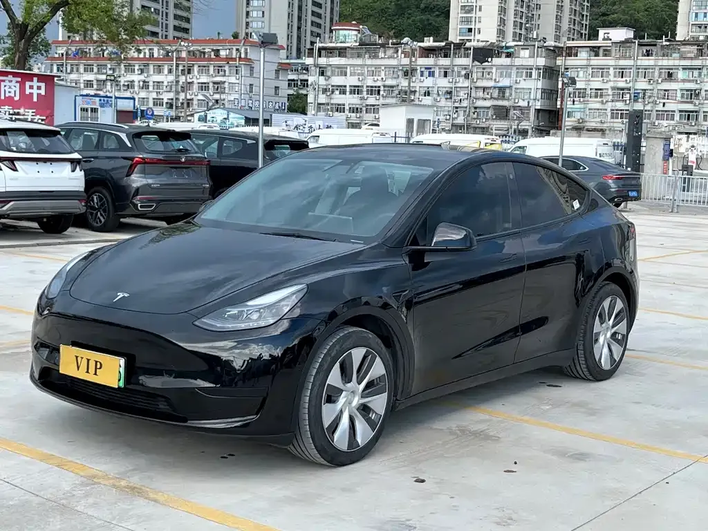 Tesla Model Y — фото 9