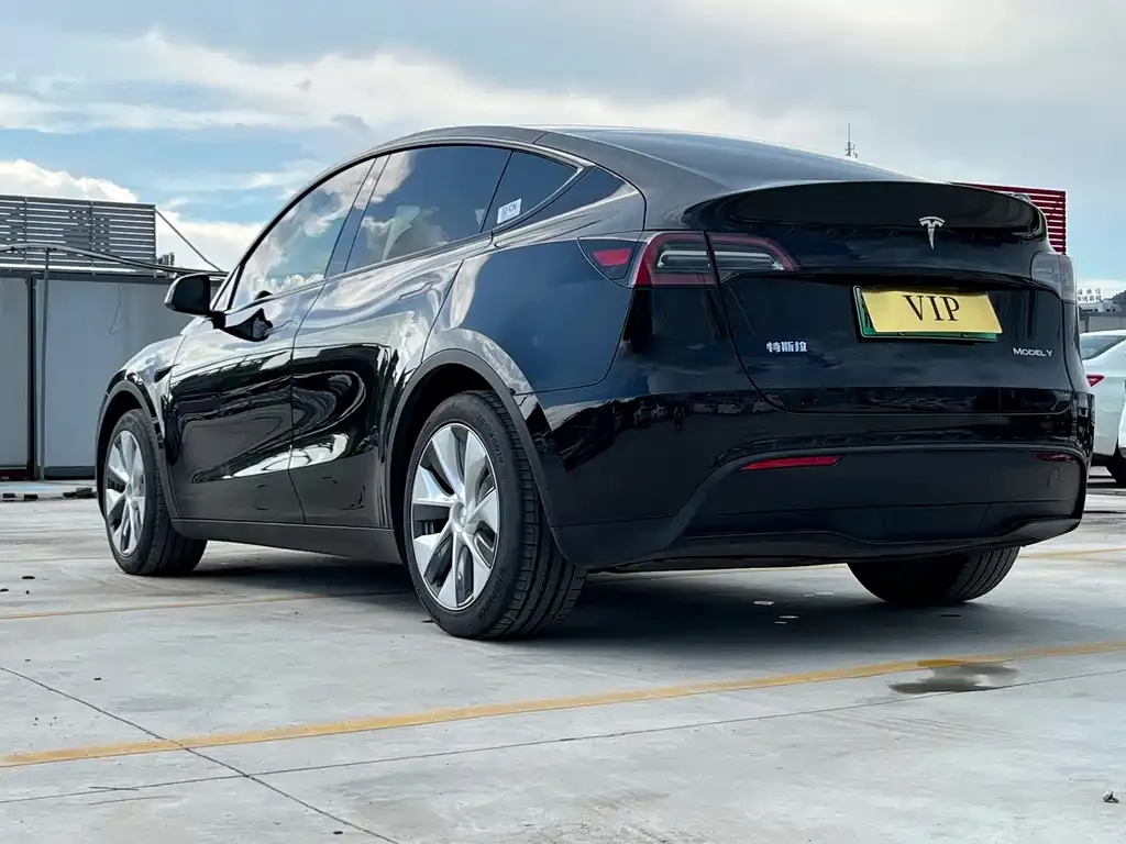 Tesla Model Y — фото 6
