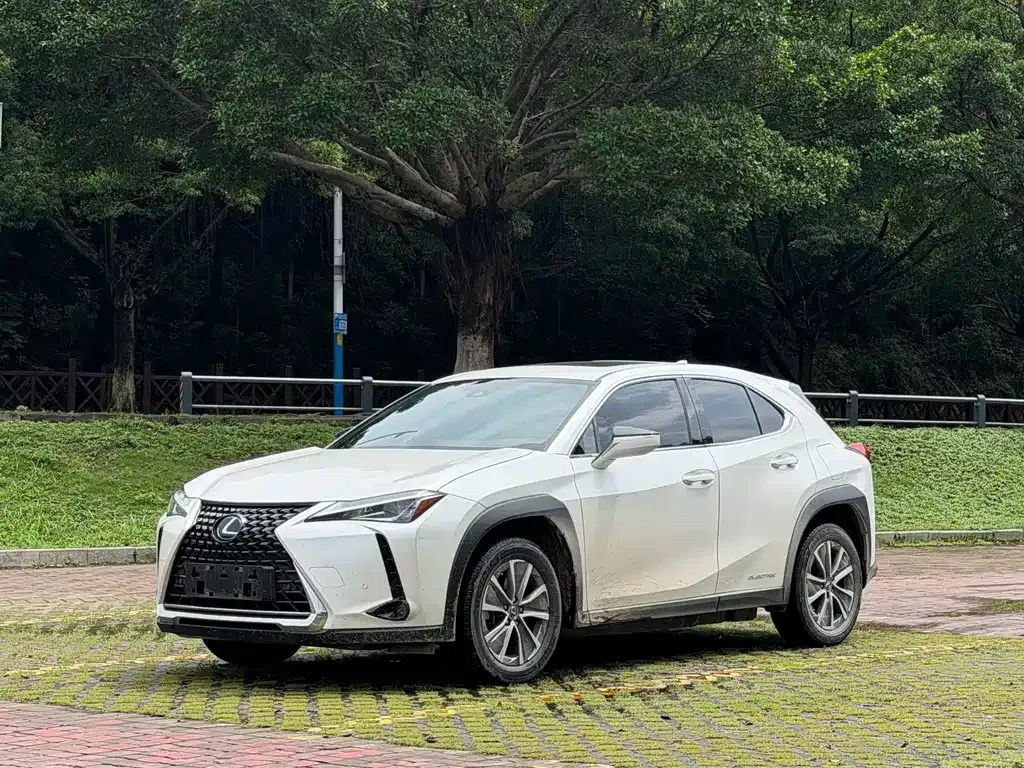 Lexus UX New Energy — фото 1