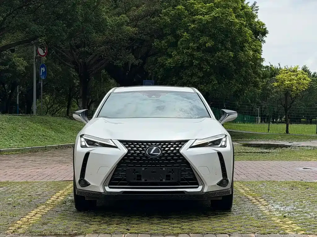 Lexus UX New Energy — фото 6