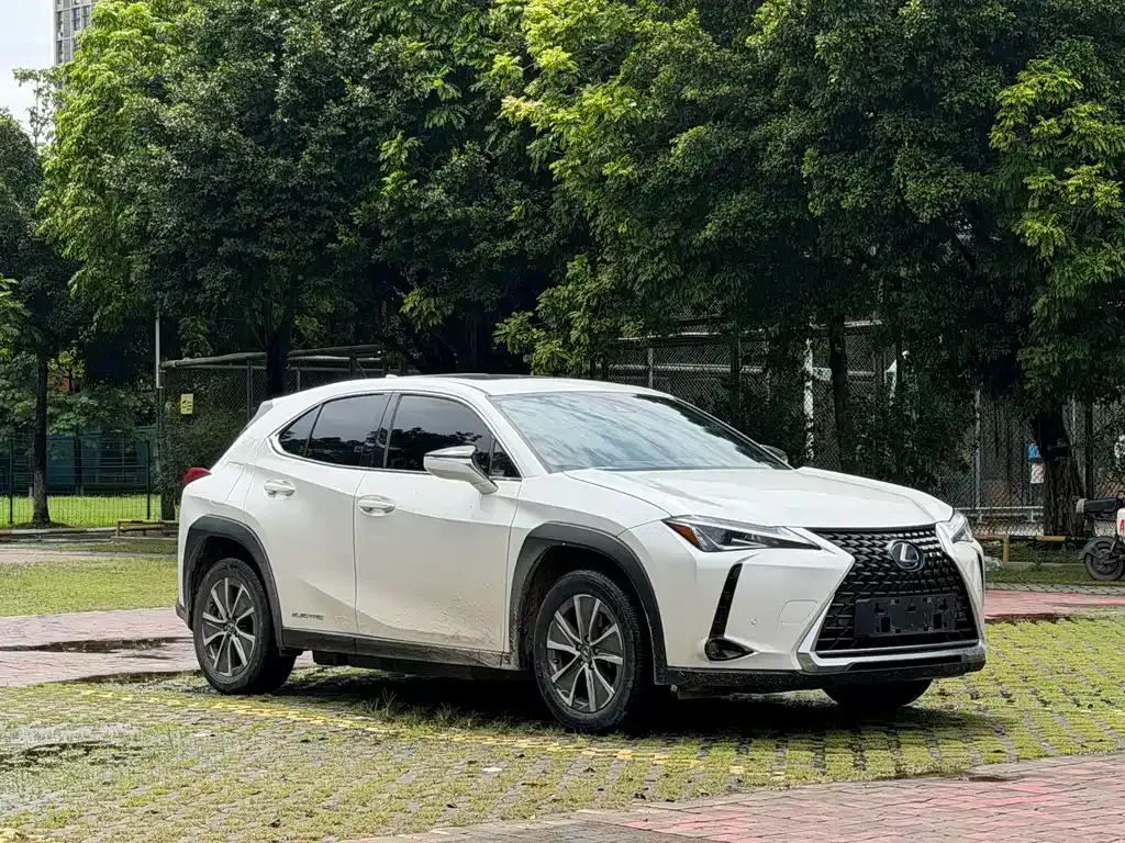 Lexus UX New Energy — фото 9