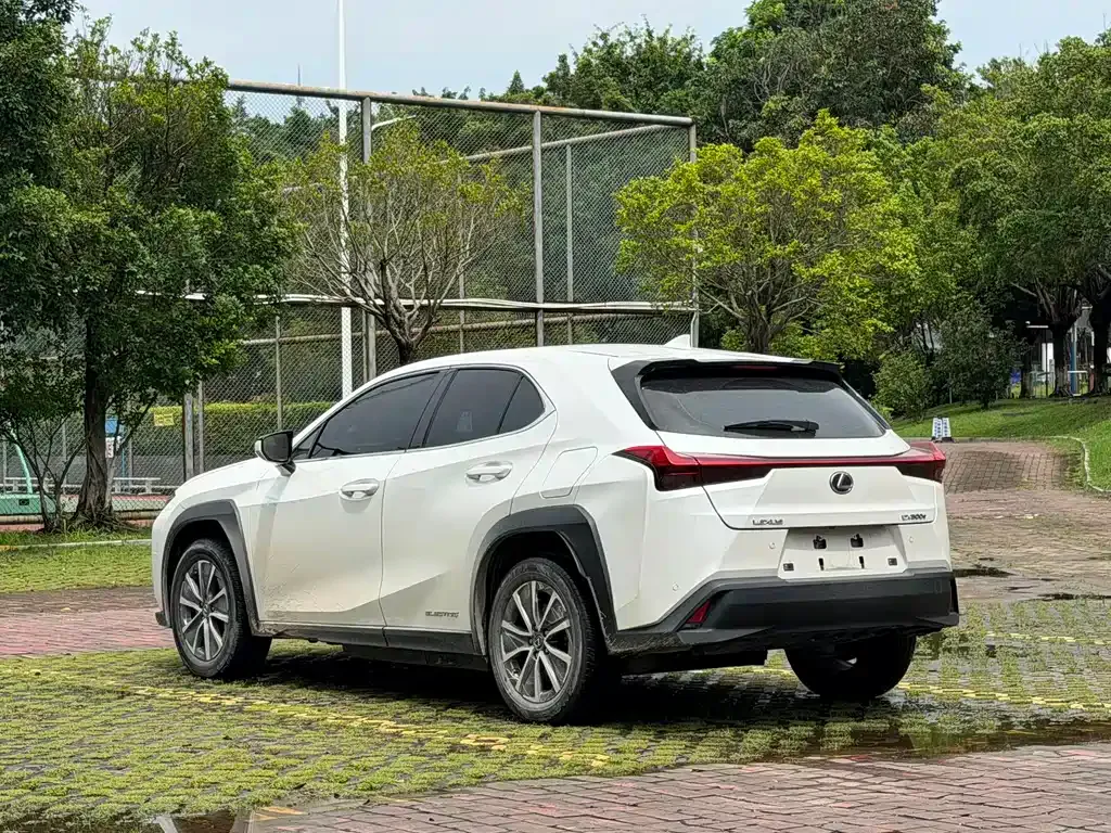 Lexus UX New Energy — фото 10