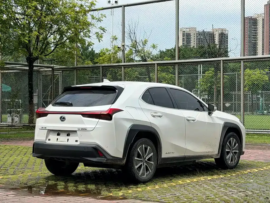 Lexus UX New Energy — фото 8