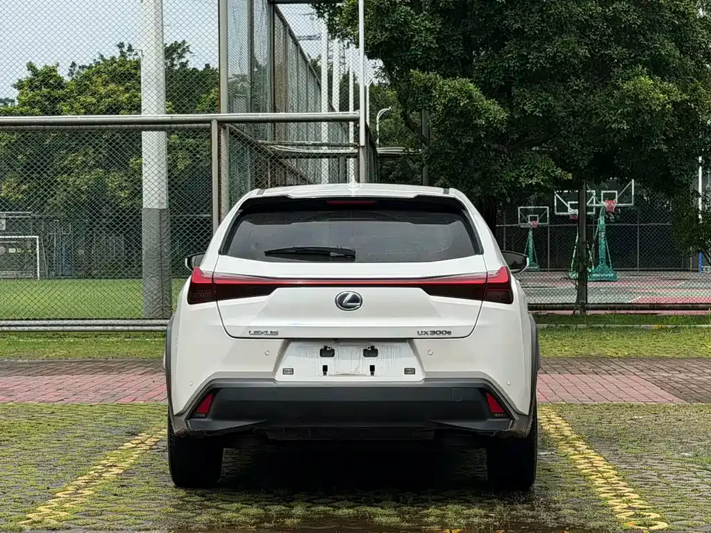 Lexus UX New Energy — фото 7