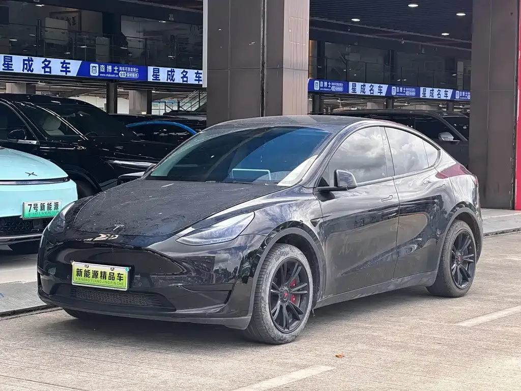 Tesla Model Y — фото 1