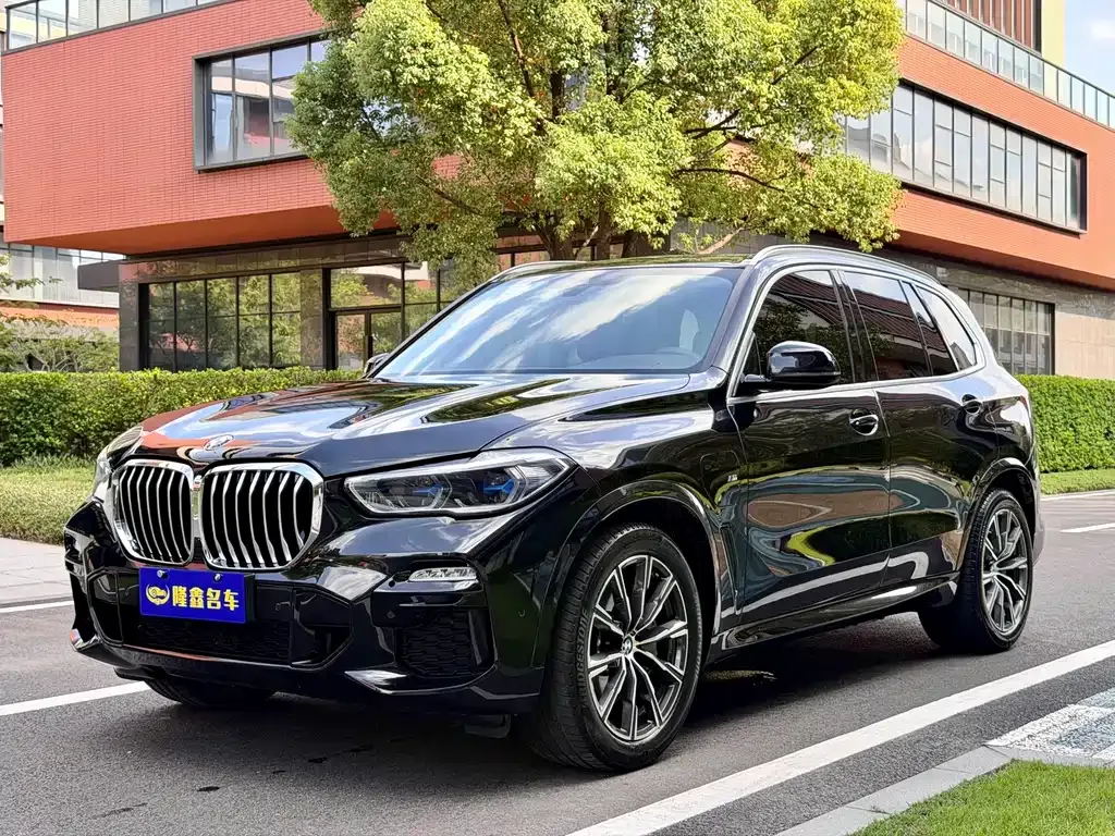 BMW X5 New Energy (Import) — фото 1