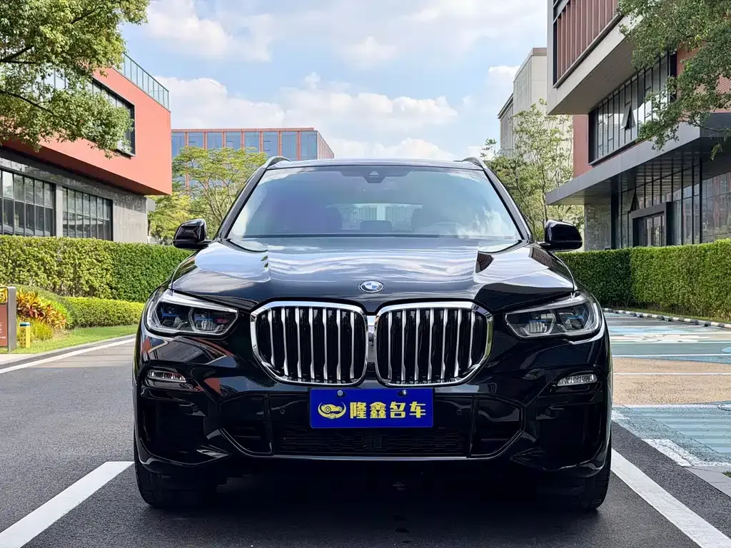 BMW X5 New Energy (Import) — фото 6