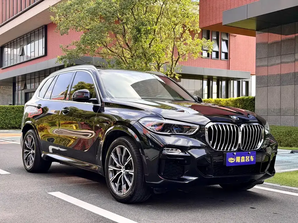 BMW X5 New Energy (Import) — фото 7