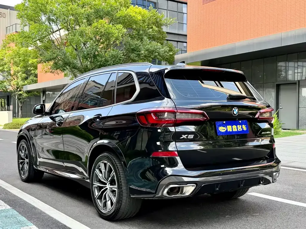 BMW X5 New Energy (Import) — фото 8