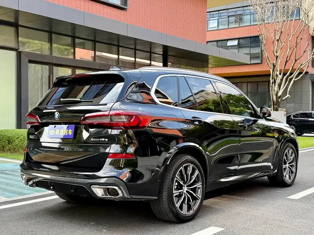BMW X5 New Energy (Import) — фото 4