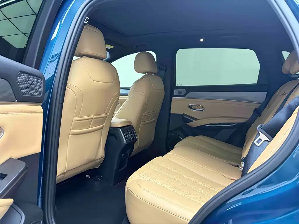 BYD L DM-i — фото 8